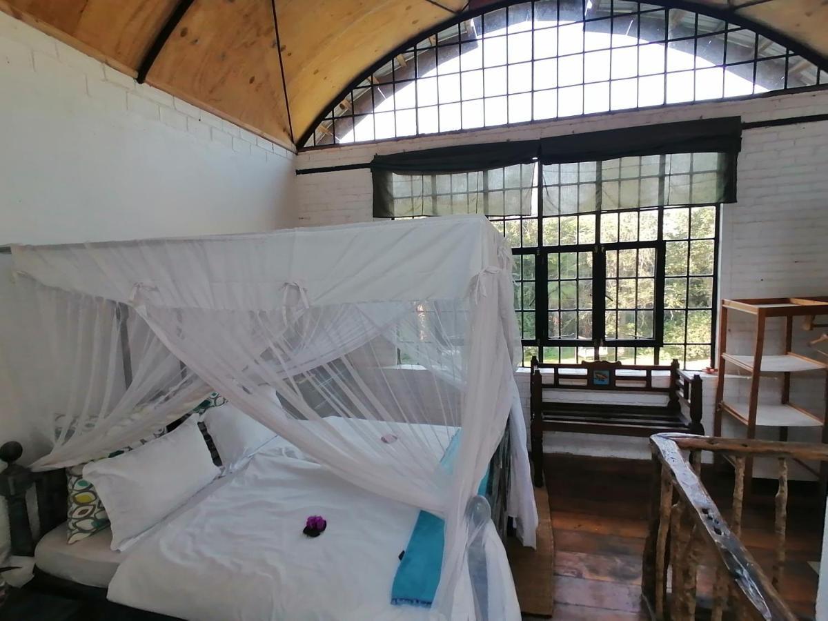 Meru House Lekisilai Arusha Exteriör bild